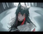  1girl animal_ears arknights bags_under_eyes bare_tree black_hair black_shirt blurry blurry_background colored_inner_hair commentary film_grain fkskii65 frown fur-trimmed_jacket fur_trim jacket letterboxed looking_at_viewer multicolored_hair outdoors portrait red_hair shirt snow solo texas_(arknights) texas_(winter_messenger)_(arknights) tree upper_body white_jacket wolf_ears wolf_girl yellow_eyes 