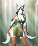  breasts canine cleavage clothed clothing female forest fox green_eyes hair loincloth looking_at_viewer mammal scenery silvia_emberfrost solo tree tunic volkcreed white_hair wood 