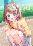  1girl :d absurdres artist_name blue_eyes blurry blurry_background blush braid brown_hair collared_shirt comiket_103 cover cover_page depth_of_field english_text eyebrows_hidden_by_hair feet_out_of_frame hands_up highres long_sleeves looking_at_viewer on_grass original petals pleated_skirt puffy_sleeves shirt short_hair skirt smile socks solo squatting sugutsuka_rerun sweater sweater_vest white_skirt white_socks yellow_sweater your_diary 