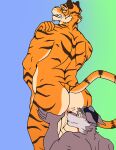 absurd_res anthro anus balls big_butt butt butt_sniffing canid canine canis digital_media_(artwork) duo epic_games felid fortnite fur genitals hair hi_res looking_back male male/male mammal muscular muscular_anthro muscular_male musk nose_to_anus nude orange_body orange_fur oscar_(fortnite) pantherine rear_view simple_background sniffing stripes sylvanedadeer tail tiger wendell_(fortnite) wolf