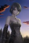  bare_shoulders black_eyes black_hair bob_cut breasts choker cleavage cloud detached_sleeves dress human_(lineage_2) jewelry kanzeon lineage lineage_2 medium_breasts short_hair sky solo sunset 