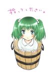 bad_id bad_pixiv_id bucket green_hair in_bucket in_container kisume rin_(royal) solo touhou wooden_bucket 