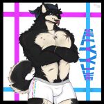 absurd_res anthro arm_scar bandanna beard black_body black_fur black_hair blue_eyes body_hair boxers_(clothing) bracelet bulge bullet_wound canid canine canis cerberussenn chest_hair chest_scar chest_tuft clothing curled_tail domestic_dog ear_piercing facial_hair facial_scar fluffy fluffy_hair fur hair happy_trail hi_res huge_filesize husky jewelry kerchief leg_scar male mammal musclegut muscular muscular_male mustache neck_scar nordic_sled_dog one_eye_closed piercing pubes scar scars_all_over signature snaggle_tooth solo spitz sully_rizal_(cerberussenn) tail tan_body tan_fur thick_thighs tongue tongue_out tongue_piercing tuft underwear wink x_scar
