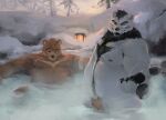2024 anthro bathing bear belly black_nose brown_body duo hi_res humanoid_hands kemono male mammal moobs nipples outside overweight overweight_male racoonwolf snow steam water white_body