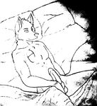  bed canine dark dexter fox kane male mammal nude penis pose solo spreading teasing zealot 