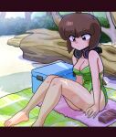  1girl artist_name beach beach_towel black_border blunt_bangs blunt_ends bob_cut border breasts brown_eyes brown_hair bush cleavage collared_shirt commentary cooler dot_mouth expressionless foliage green_one-piece_swimsuit hand_on_ground headphones headphones_around_neck knees_up lens_flare letterboxed log looking_ahead looking_down lotion medium_breasts on_ground one-piece_swimsuit pink_towel plaid_towel raised_eyebrows ranma_1/2 sand shadow shirt short_hair signature sitting solo sunscreen swimsuit tendou_nabiki towel tree wanta_(futoshi) 