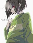  1other brown_hair chara_(undertale) closed_mouth english_text green_sweater hair_over_one_eye highres holding holding_jewelry holding_necklace jewelry looking_to_the_side necklace other_focus r_ego999 red_eyes short_hair simple_background single_horizontal_stripe solo sweater undertale white_background 
