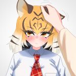  1girl animal_ears black_hair blush collared_shirt disembodied_limb hair_between_eyes hand_on_another&#039;s_head highres kemono_friends kemono_friends_3 looking_to_the_side multicolored_hair necktie nijiiro_(graynbow_wolf) nose_blush orange_eyes orange_hair plaid_necktie red_necktie shirt sidelocks solo sweatdrop tiger_(kemono_friends) tiger_ears tiger_girl upper_body white_hair white_shirt 