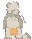  chubby kemono loincloth male nama tanuki 