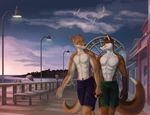  abs anthro beach biceps blue_eyes boardwalk canine chipfox clothing couple cute dadingo dingo duo dusk fair ferris_wheel fox gay hand_holding male mammal muscles ocean pecs sea seagull seagulls seaside shorts sunset swim_trunks thestory topless water 