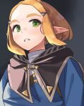  1girl absurdres black_shawl blonde_hair blue_tunic elf green_eyes grey_background hair_tie high_collar highres lewdrawings looking_to_the_side parted_lips pointy_ears princess_zelda shawl short_hair simple_background solo the_legend_of_zelda the_legend_of_zelda:_breath_of_the_wild upper_body 