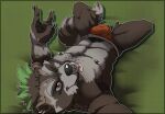 absurd_res anthro armpit_hair body_hair bulge claws clothing ear_piercing ear_ring epic_games facial_piercing fortnite fur green_hair grey_body grey_fur hair happy_trail hi_res highlights_(coloring) jockstrap johnfreak looking_at_viewer lying male mammal nose_piercing nose_ring on_back one_eye_closed piercing procyonid pubes raccoon ring_piercing rufus_(fortnite) solo tongue tongue_out underwear wink winking_at_viewer