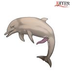  anthro anus cetacean dolphin erection feral genital_slit green_eyes looking_at_viewer male mammal marine mayer0 nude penis plain_background random slit solo tapering_penis tongue white_background 