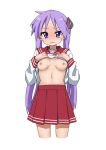  1girl absurdres black_ribbon blush breasts clothes_lift hair_ribbon highres hiiragi_kagami kicchi_(tmgk) lifted_by_self long_hair long_sleeves looking_at_viewer lucky_star medium_breasts navel nipples purple_eyes purple_hair red_sailor_collar red_skirt ribbon ryouou_school_uniform sailor_collar school_uniform serafuku shirt_lift simple_background skirt solo standing sweatdrop twintails white_background winter_uniform 