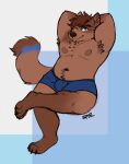 2023 anthro armpit_hair artist_name biceps biped blue_clothing blue_eyes blue_underwear body_hair brown_hair brown_nose canid canine claws clothed clothing crossed_legs digital_drawing_(artwork) digital_media_(artwork) digitigrade ear_piercing fur hair hands_behind_head hi_res looking_at_viewer male mammal navel nipples one_eye_closed piercing signature simple_background sitting slightly_chubby slightly_chubby_anthro slightly_chubby_male smile solo spyz_(artist) spyz_(character) tail tan_body tan_fur tan_tail triceps underwear underwear_only wink