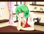  animal_ears ascot brown_dress cactus curtains dress green_hair highres karuna_(madlax) kasodani_kyouko kazami_yuuka letterboxed looking_at_viewer photo_(object) pink_eyes plant plate potted_plant pov_across_table sewing_machine shelf shirt short_hair sitting smile solo table touhou vest window 