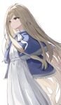  1girl absurdly_long_hair absurdres blue_capelet bow brown_eyes brown_hair capelet commentary_request dress hair_tubes highres long_hair sense_(sousou_no_frieren) simple_background solo som_(mnfx7235) sousou_no_frieren very_long_hair white_background white_bow white_dress 