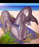  anthro barefoot beach bikini blue_eyes breasts cetacean clothed clothing dolphin female fish_tail hindpaw human_feet looking_at_viewer looking_back mammal marine paws plantigrade pose redraptor16 seaside side_boob skimpy solo swimsuit toes towel underwear water webbed_feet 