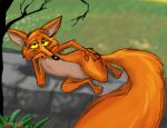 anthro big_tail black_eyes black_nose brick_wall canid canine countershading digital_drawing_(artwork) digital_media_(artwork) digital_painting_(artwork) disney ears_outwards fox fox_(mary_poppins) fur glance grass half-closed_eyes hand_on_hip head_on_hand lying male mammal mary_poppins narrowed_eyes on_side orange_body orange_fur pinup pivoted_ears plant pose shaded sketch smile smiling_at_viewer smirk smirking_at_viewer smug smug_face solo stevethedragon tail tree wall_(structure) yellow_sclera