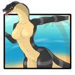 anthro black_body breasts cobra female front_view genitals hi_res long_neck looking_at_viewer non-mammal_breasts nude pussy reptile scales scalie simple_background snake snake_hood solo standing striped_body stripes tail tan_body thick_thighs tongue tongue_out yellow_eyes zakoruchka