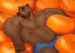  1boy absurdres bara beard belly blue_male_underwear boxers bulge capybara_ears closed_eyes convenient_censoring cowboy_shot facial_hair facing_to_the_side food fruit full_beard furry furry_male hairy highres huge_eyebrows large_pectorals lemz_(adrawingpotato) lying male_focus male_underwear mandarin_orange mature_male muscular muscular_male navel nipples on_back original outstretched_arms oversized_food oversized_object pectorals short_hair sleeping solo spread_arms stomach strongman_waist thick_beard thick_mustache topless_male underwear 
