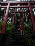  climbing_ladder forest from_behind grey_sky hakurei_reimu highres japanese_clothes ladder li_shay miko nature sky torii touhou 