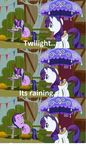  diamond equine food friendship_is_magic horse meme my_little_pony pony raining rarity_(mlp) twilight_sparkle_(mlp) umbrella 