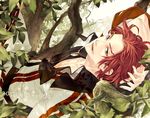  2012 coat dated gensou_suikoden gensou_suikoden_ii in_tree kaburaya leaf male_focus red_eyes red_hair seed_(suikoden) smile solo tree 
