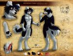  angello_cauich balls border_collie canine digitigrade dog knot male mammal model_sheet nude penis sheath solo 