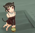  animal_ears bad_id bad_pixiv_id barefoot black_hair blush bucket bucket_of_water cat_ears cat_tail copyright_request dress fang fish red_eyes short_hair solo tail ume_(driveume) 