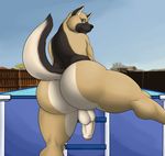  anus balls biceps big_butt brown_fur butt canine dog eyewear fur german_shepherd glasses komatose looking_at_viewer male mammal mooning muscles nude penis pool pose raised_tail solo spreading uncut vamplust wide_hips 