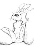  buckteeth female flat_chested fur jetcrow lagomorph looking_away mammal monochrome plain_background pussy rabbit sitting sketch solo spread_legs spreading white_background 