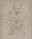  anthro claws clothing crouching looking_at_viewer male mammal monochrome pencil semiotica shirt shorts solo spreading tank_top 