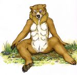  anthro bear breasts clitoris female gravewalker inviting mammal multi_breast nipples nude outside plain_background pussy solo spread_legs spreading white_background 
