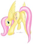  absurd_res alpha_channel anus cutie_mark equine female feral fluttershy_(mlp) friendship_is_magic hi_res horse jameshalt mammal my_little_pony pegasus pony pussy solo wings 