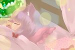  animal_ears bed blanket box cat cat_ears catchouli christmas closed_eyes crescent gift gift_box hair_ribbon hazuki_ruu highres kemonomimi_mode kuzuneko long_hair no_hat no_headwear original patchouli_knowledge pillow purple_hair ribbon sleeping solo touhou 