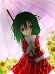  :t ascot bad_id bad_pixiv_id flower green_hair kazami_yuuka parasol plaid plaid_skirt plaid_vest red_eyes shade shaded_face short_hair skirt skirt_set snowfox solo sunflower touhou umbrella vest 