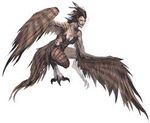  avian breasts cleavage harpy head_plumage nude plumage talons taur wings 