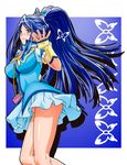  blue blue_eyes blue_hair blush breasts bug butterfly butterfly_hair_ornament cure_aqua fingerless_gloves flower frilled_sleeves frills gloves hair_flower hair_ornament insect jewelry kousaka_jun large_breasts light_smile long_hair looking_at_viewer minazuki_karen miniskirt no_panties ponytail pouch precure puffy_sleeves skirt solo thighs upskirt wide_ponytail yes!_precure_5 yes!_precure_5_gogo! 