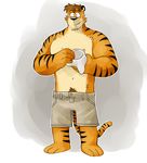  male mammal solo tiger topless vasuki 