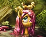  birds ducks fluttershy_(mlp) friendship_is_magic harwick lake my_little_pony pool 