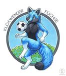  anthro ball blue blue_eyes blue_fur blue_sky canine female football fox fur game grass kacey kloawender mammal nude soccer solo 