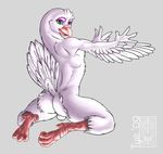  avian balls beak bird butt claws dove feathers girly looking_at_viewer male pigeon plain_background pose solo talons tyelle_niko white_feathers white_fur wings 