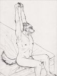  anthro balls bed black_and_white black_nose butt canine claws eyes_closed flaccid hindpaw male mammal monochrome nipple_piercing nipples nude paws pencil penis piercing semiotica sheath sitting solo stretching thighs 
