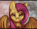  equine female fluttershy_(mlp) friendship_is_magic hair imalou mammal my_little_pony pegasus pink_hair solo wings 