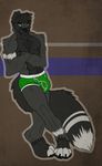 anthro big black_fur border_collie boxers bulge canine digitigrade dog fox fur hybrid leaning looking_at_viewer male mammal mnty muscles nipples node pecs solo stripes tight underwear 