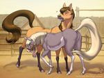  blush dr_comet erection furry hooves horse mare_(horse) penis stallion tail tongue wet 