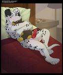  bed blue_eyes canine canine_penis crossed_arms cum dalmatian dog erection holding hug inside knot lamp looking_at_viewer lying magazine male mammal nude on_back on_bed penis pillow plushie redrusker sheets solo watermark web_address 