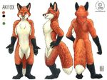 akifox anthro canine fox green_eyes kacey male mammal model_sheet plain_background pose silly solo 