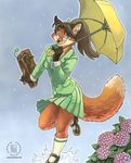  afternoon bag canine female flower fox hydrangea kacey mammal skirt smile solo umbrella uniform water 